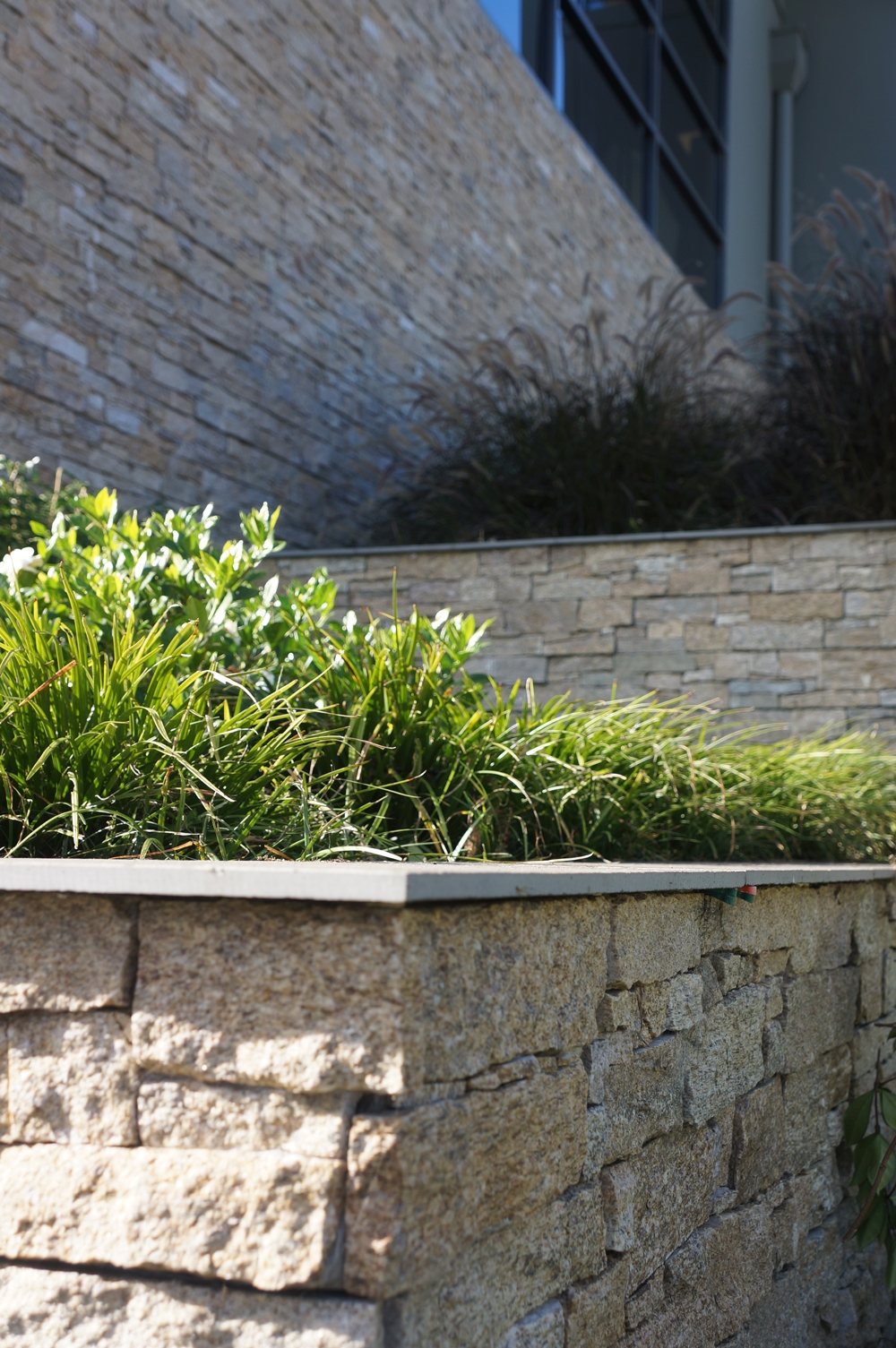 Culture Stone Tiger Skin